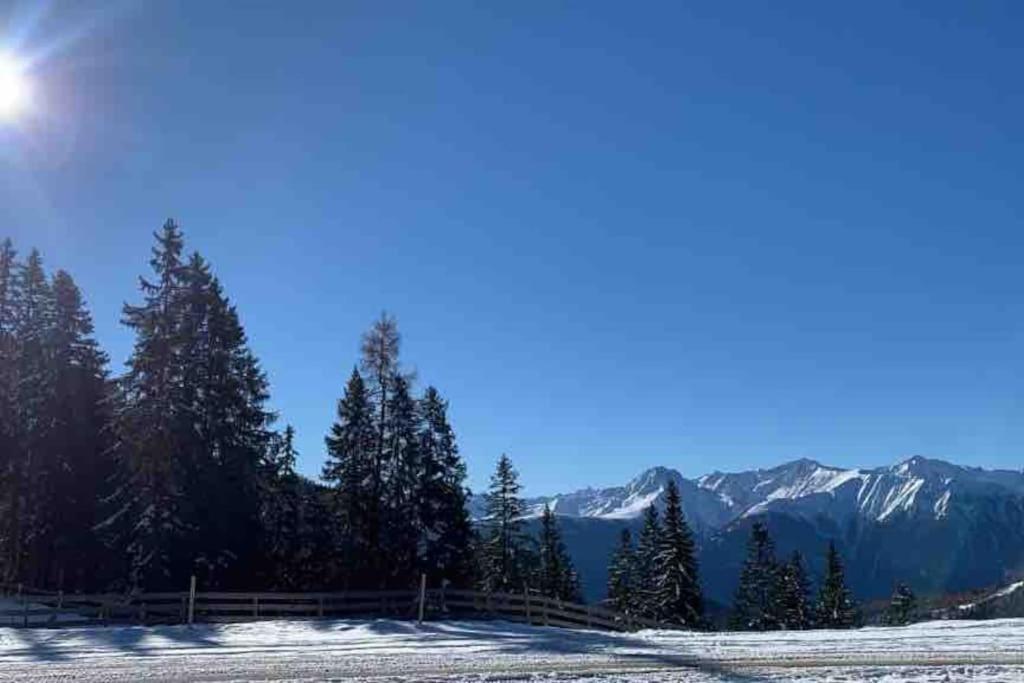 Sonniges Apartment In Seefeld سيفيلد ان تيرول المظهر الخارجي الصورة