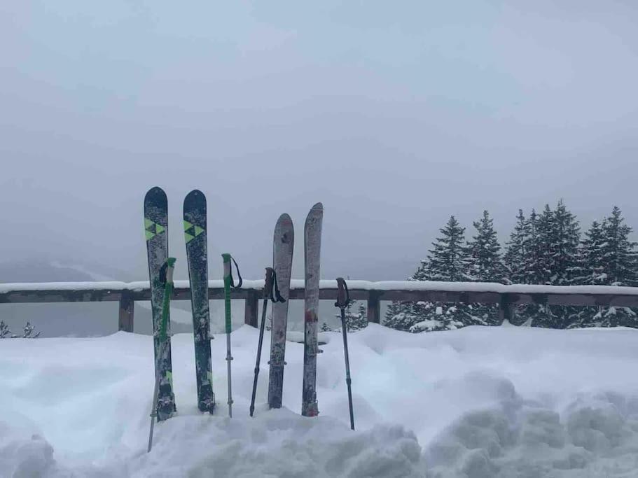 Sonniges Apartment In Seefeld سيفيلد ان تيرول المظهر الخارجي الصورة