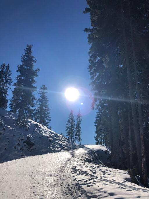 Sonniges Apartment In Seefeld سيفيلد ان تيرول المظهر الخارجي الصورة